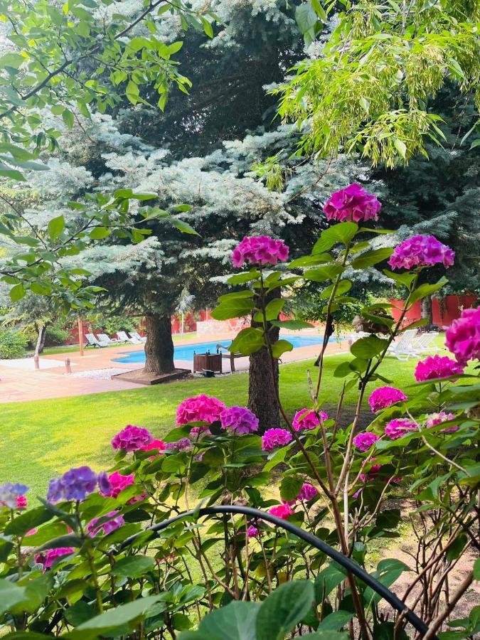 B&B Concha Becerril de la Sierra Bagian luar foto